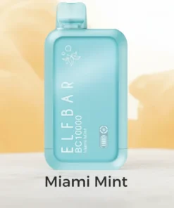 ELFBAR Miami Mint BC 10000 Puffs 50mg