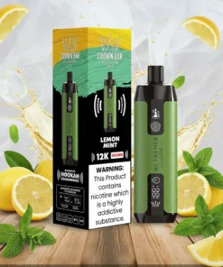 AL FAKHER 12000 PUFFS DISPOSABLE - LEMON MINT